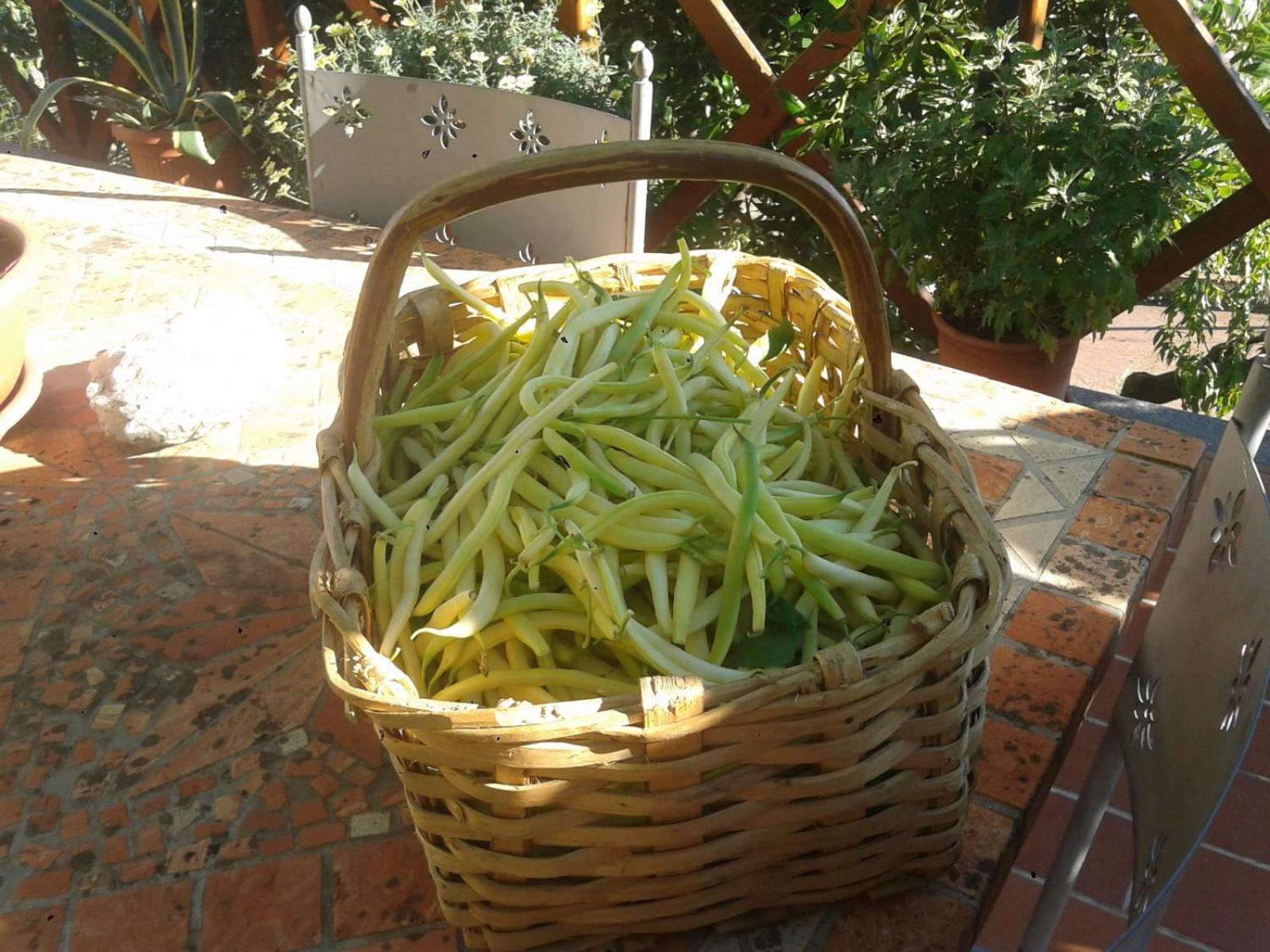 Agriturismo Caruggiu Di Via Vecchia Orco Feglino Εξωτερικό φωτογραφία